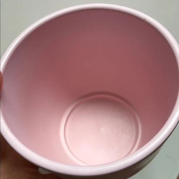 🌸Spring Ready☀️Matte Light Pink Ceramic Planter - Picture 12 of 14
